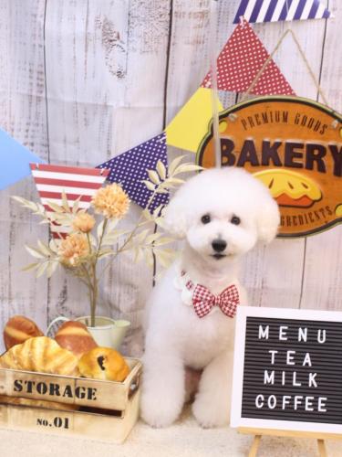 20240908ちくわくん